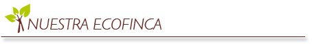 nuestra ecofinca ecocesta